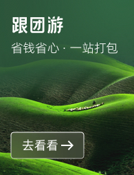 跟团游
